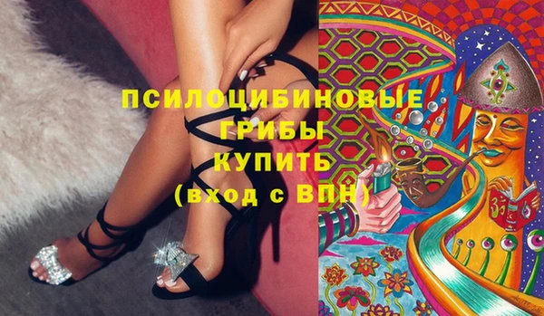 круглые Вяземский