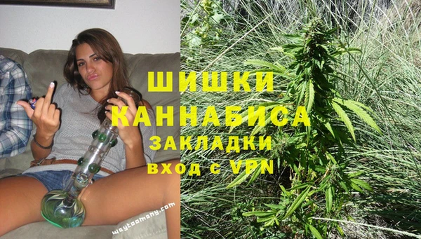 круглые Вяземский