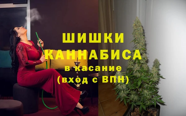 спиды Вязьма