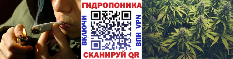blacksprut как войти  Эртиль  Каннабис Amnesia  наркотики 